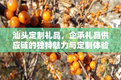 汕头定制礼品，企承礼品供应链的独特魅力与定制体验